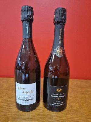 deux bouteilles de vin posées sur une table l'une à côté de l'autre