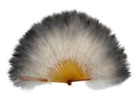 Plumes, Europe, vers 1890-1900 (photo 2)