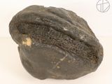an image of a piece of rock on a white surface