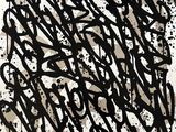 une peinture en noir et blanc représentant un graffiti sur fond blanc