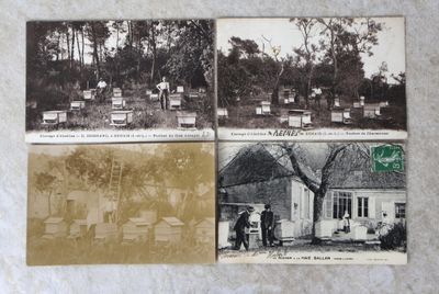 trois vieilles photos en noir et blanc représentant des ruches dans un jardin