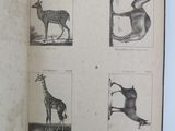 an open book with pictures of animals on it