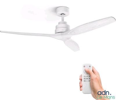 quelqu'un tient une télécommande devant un ventilateur de plafond blanc