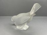 a small white bird that is sitting on a table