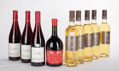 plusieurs bouteilles de vin sont alignées sur une surface blanche