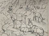 drawing of a herd of deer in a rocky landscape with mountains in the background