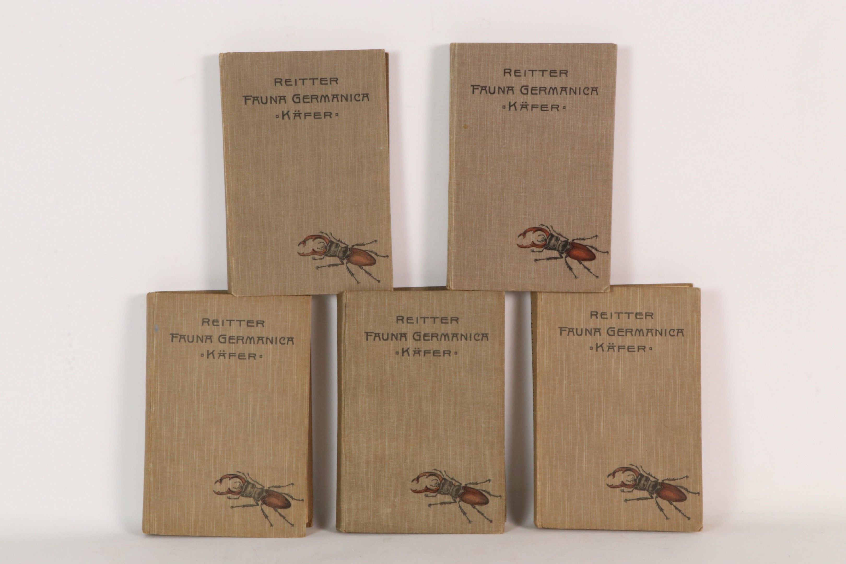 [ENTOMOLOGIE] REITTER (Edmund).