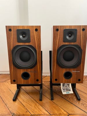 une paire d'enceintes posées sur le parquet d'une pièce dotée d'un parquet en bois massif