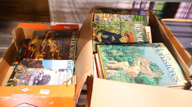 Lot de 2 cartons de livres éditions PML, Albin Michel sur histoir...