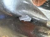 a close up of a person ' s shoe with a cloth on it