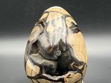 an image of an egg with a picture of an elephant on it