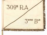 un gros plan d'un drapeau sur fond blanc, sur lequel figure l'inscription « 300 r a »