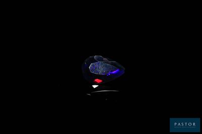 an image of a fish in the dark with a light on