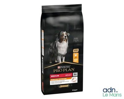 pro plan medium adult medium breed lamb and rice dry dog food