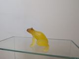a yellow frog figurine sitting on top of a glass table