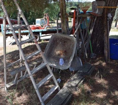 a wheelbarrow leaning against a tree in a yard