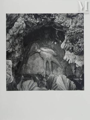 une vieille photo en noir et blanc représentant un homme dans une grotte