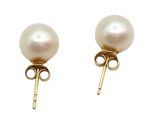 pair of pearl earrings on a white background