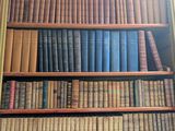 de nombreux livres qui se trouvent sur les étagères de la pièce