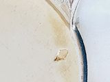 a close up of a silver plate on a table