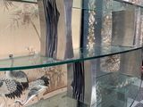 a glass shelf that has a lot of glass shelves on it
