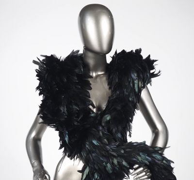 a mannequin dressed in a black feathered dress