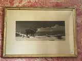 a picture of a horse that is running in the snow