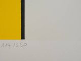 an image of a painting of a yellow and black rectangle
