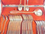 silverware in a red case with spoons, forks, spoons and spoons