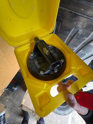 a person holding a yellow box with a wren inside of it