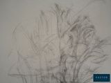 a drawing of a bunch of flowers in a vase