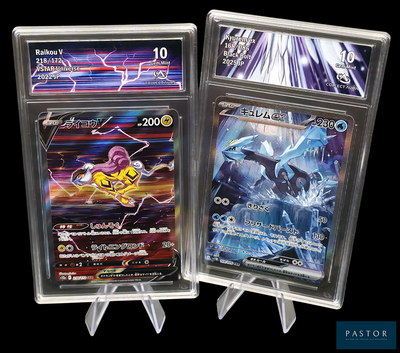 deux cartes Pokémon exposées dans un étui en plastique