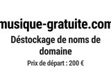 Photo 1/1 du lot