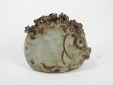 a small ceramic hedge that is sitting on a white surface
