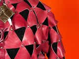 an image of a mannequin wearing a red and black jacket