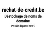 Photo 1/1 du lot