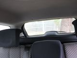 a dog sitting in the back seat of a car