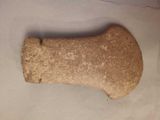 a large bone that is sitting on a piece of paper