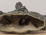 an image of a sculpture of a shell with a snail inside of it