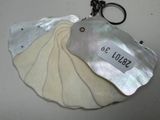a keychain that has a shell on it with a tag on it