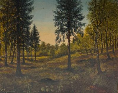 W. Kaufmann. Paysage de sous-bois.