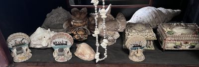 une présentation de coquillages et d'autres objets sur une étagère