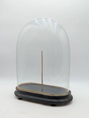 a glass dome with a wooden stick inside of it