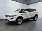 land rover range rover range rover range rover range rover range rover range rover range rover range rover range rover range rover range rover range rover range rover range rover range rover