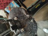 a black and white spotted hat on a metal stand