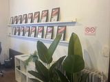 une plante dans un vase, dans un coin de la pièce