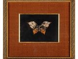 peinture représentant un papillon sur fond noir, dans un cadre doré