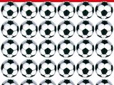 un lot de ballons de football portant la mention « vendu par lot de 20 »