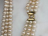 two strand pearl necklace with a gold clasp on a mannequin