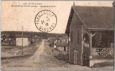 une carte postale représentant une calèche tirée par un cheval sur un chemin de terre